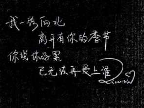 艾索图片,探寻神秘生物的奇幻世界