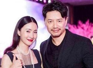 段奕宏天涯娱乐,从天涯娱乐到影视界璀璨星辰