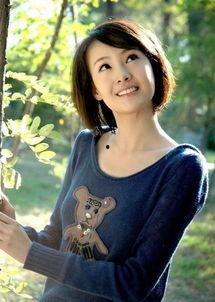 娱乐圈h合集郑爽,娱乐圈风云变幻中的璀璨星辰