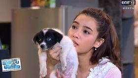 娱乐新闻结尾,精彩瞬间回顾，明星动态盘点