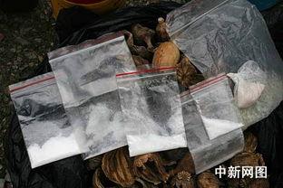 k粉的照片,一张照片背后的毒品真相