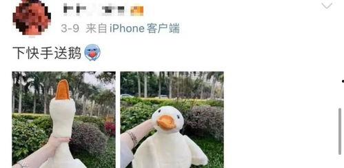 网红鹅 炒作,一场精心策划的炒作盛宴